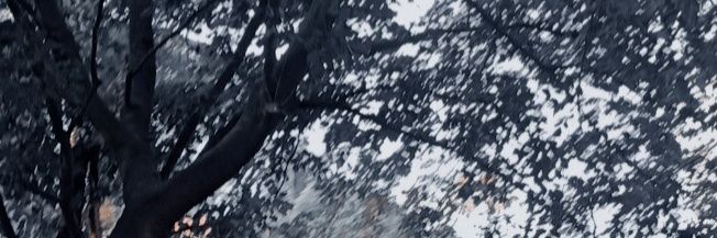 TopHouseXXX's profile banner image