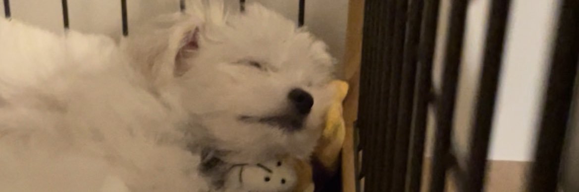 kohhta10317's profile banner image