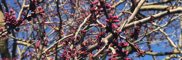 OMGwine Profile Banner