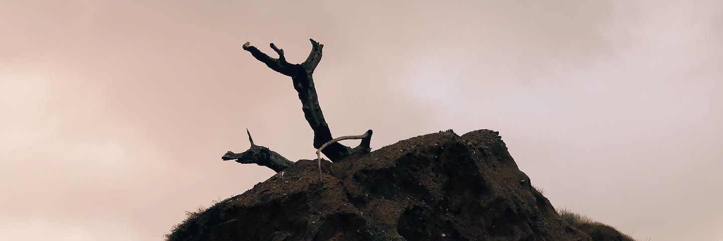 andreaa_cebj's profile banner image
