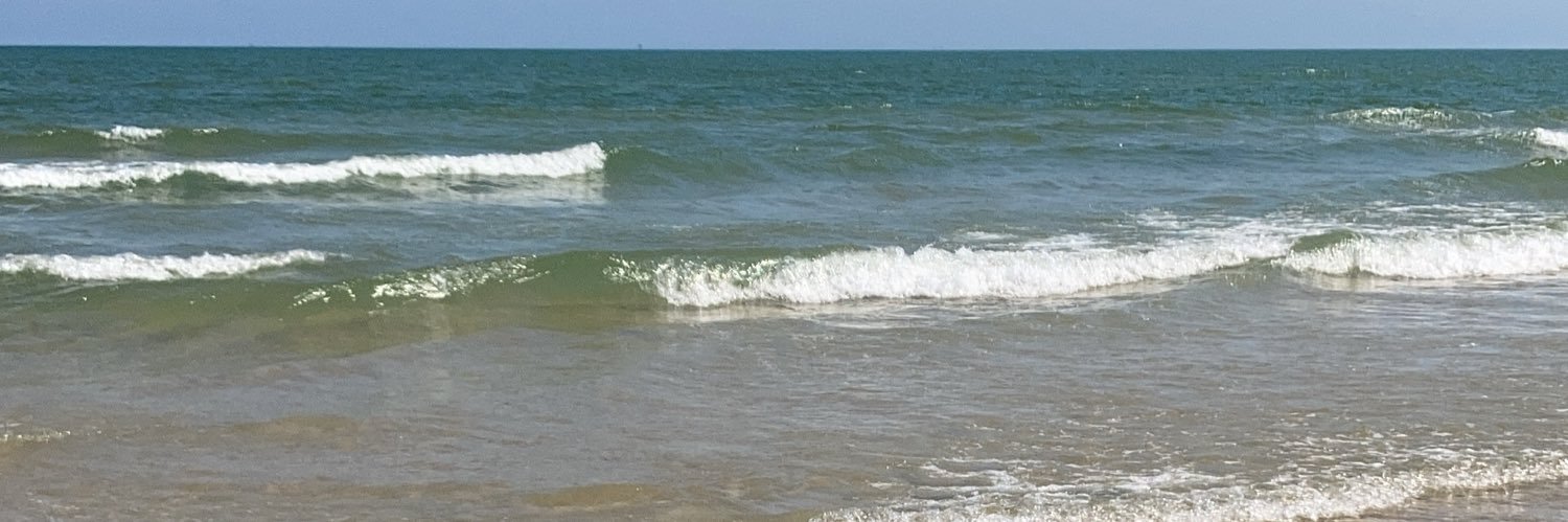 David Spigelmyer banner