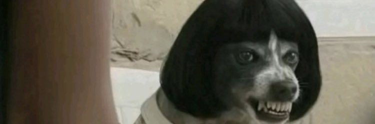 princess naya 🧚🏽‍♀️ banner