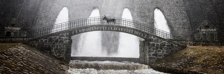 Frédéric Mignard banner