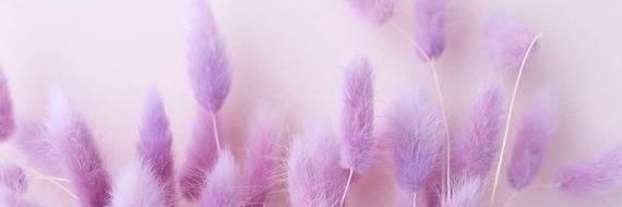 Alizand66's profile banner image