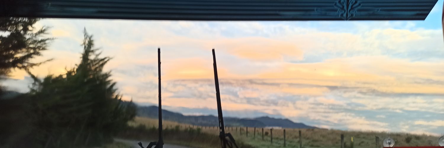 Nerieth_96's profile banner image