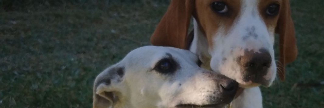 Raqueta6's profile banner image