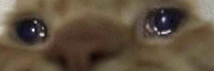 bildmose's profile banner image