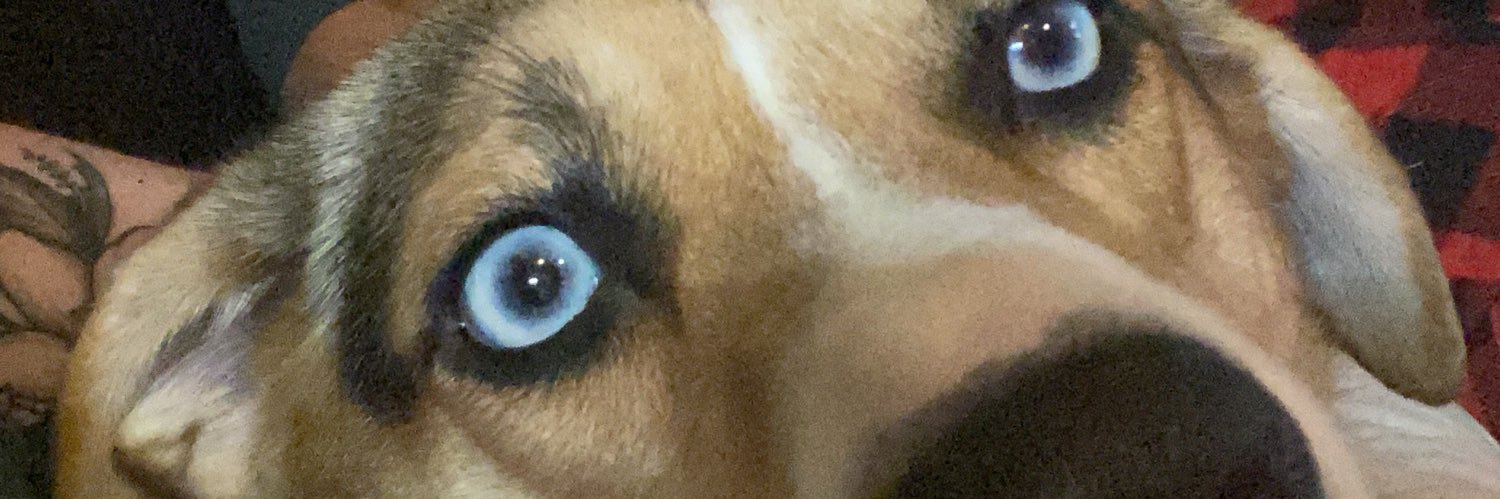 ktpuckk's profile banner image