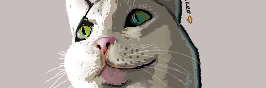 wami_wale's profile banner image