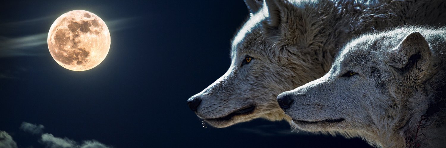 aDudeNextDoor's profile banner image