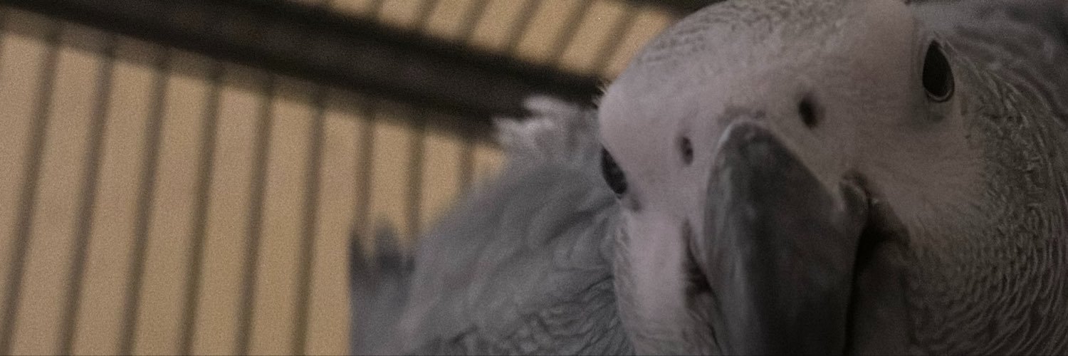 _amff6's profile banner image