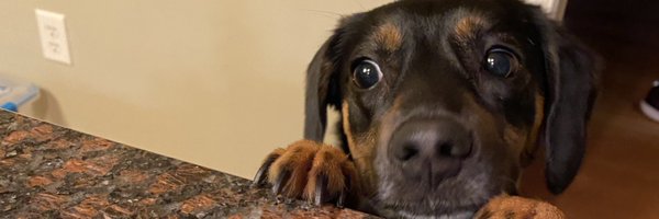 MsBowden314 Profile Banner