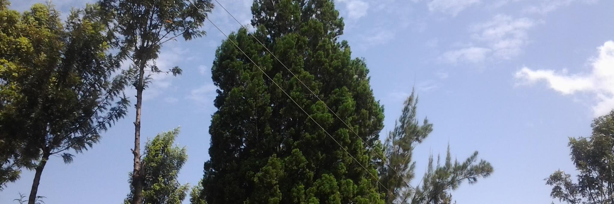 PAULOPOPOLIPO's profile banner image