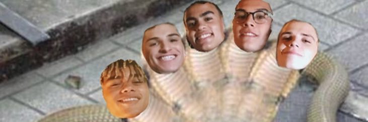 expbeanznajas's profile banner image