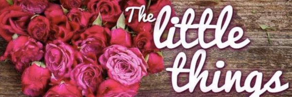 lliptak4 Profile Banner