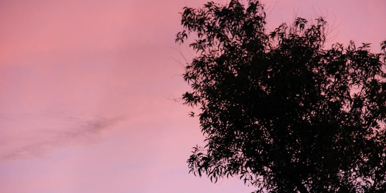 KimAyuda's profile banner image