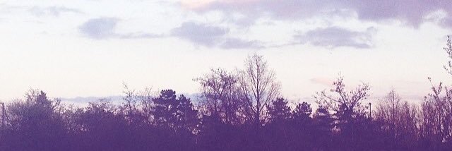 ncj1006's profile banner image