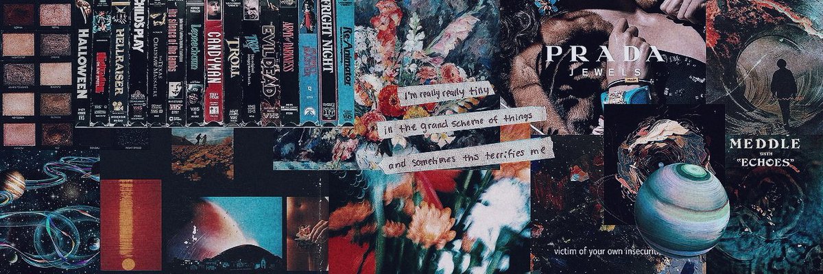 D I T A | 🟡 banner