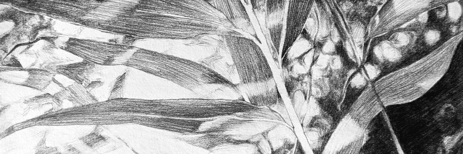 qrioth's profile banner image