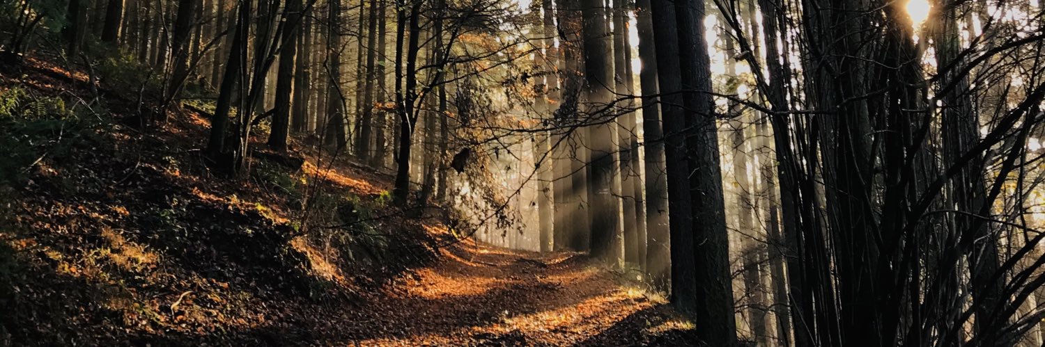 Dr. Daniela Rößler banner