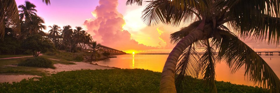 Baruzhy's profile banner image