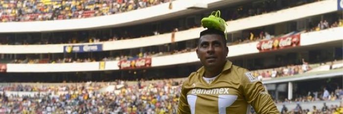 fdpadi's profile banner image