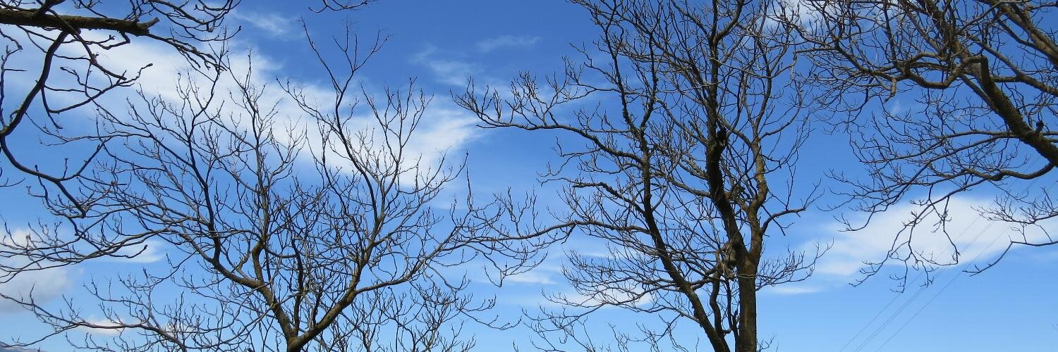 Andrea Deidda banner