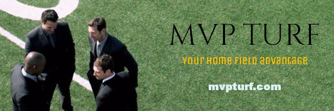 Albert Villalobos banner