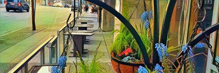 prestons_van's profile banner image