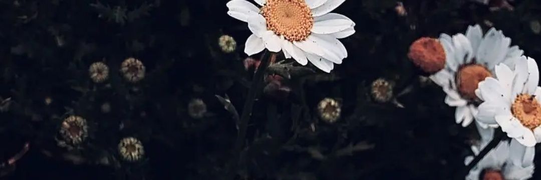 marinas13_'s profile banner image