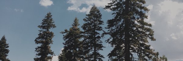 teewilley Profile Banner