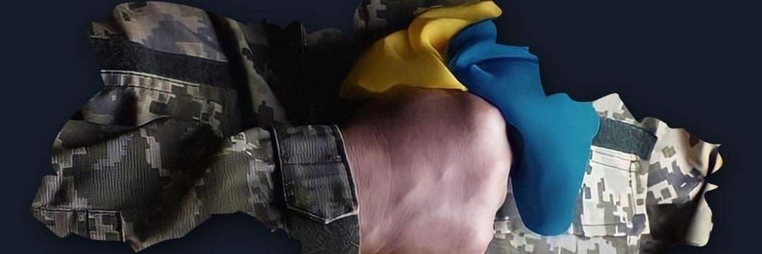 savvyfox banner