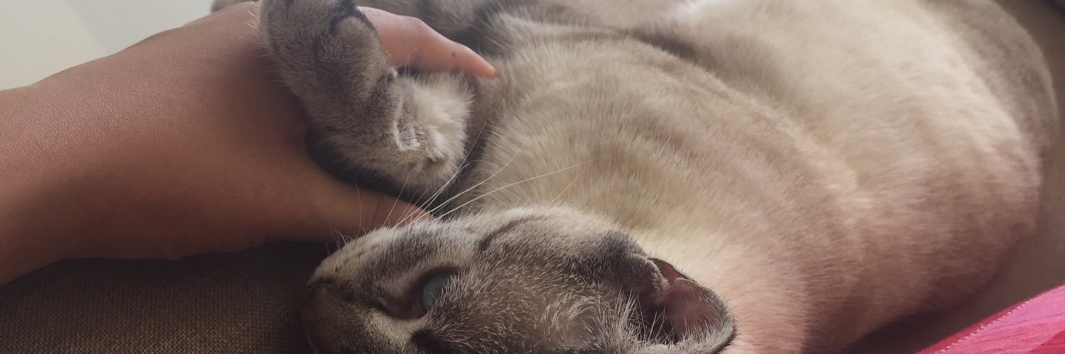 bumaka_'s profile banner image