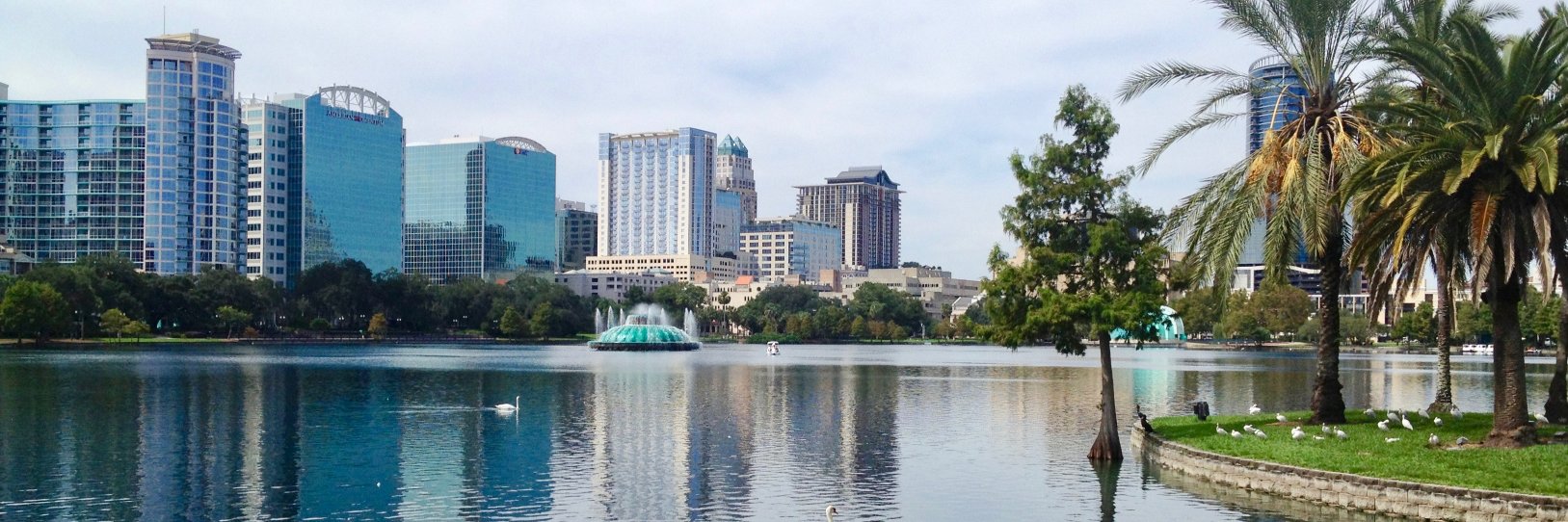 Chris Marsden banner