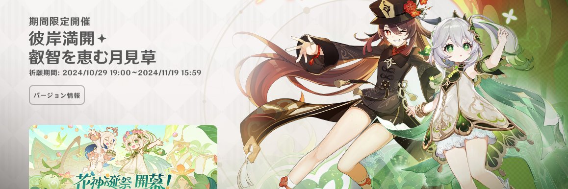 nohaizin banner