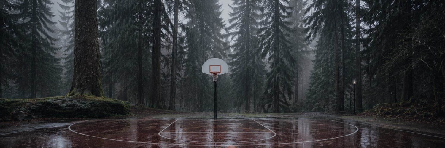 mbodmer's profile banner image
