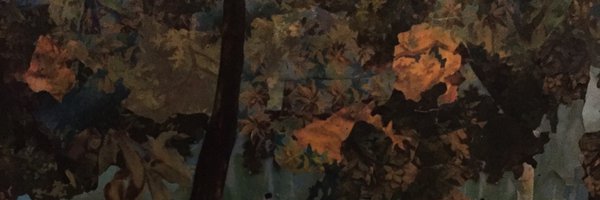 karakillmer Profile Banner