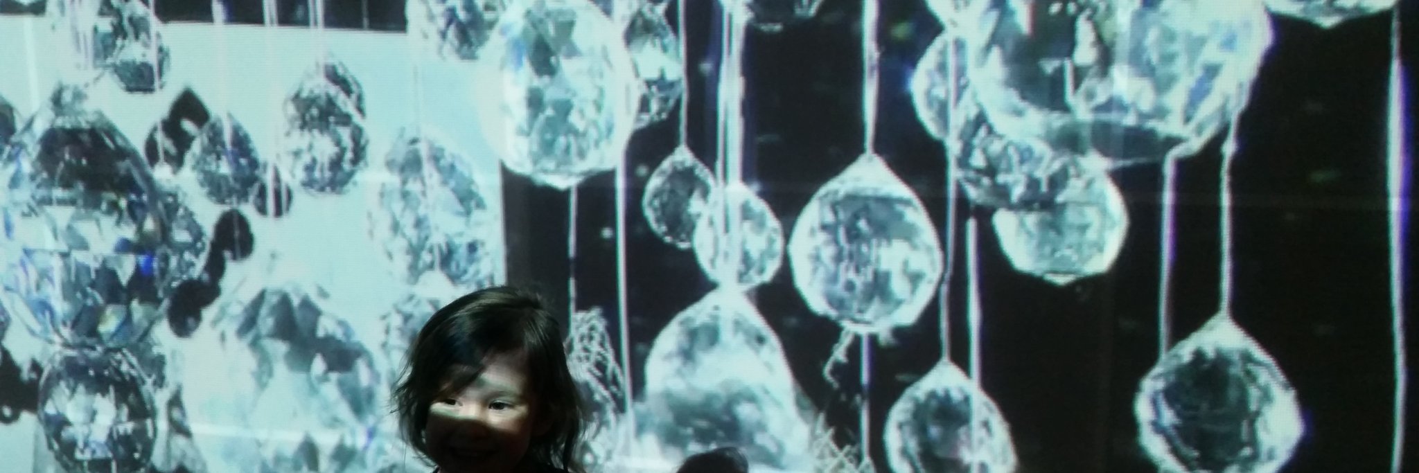 Deb Mitchison banner