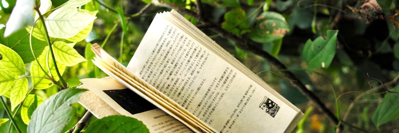 サウダージ・ブックス's banner