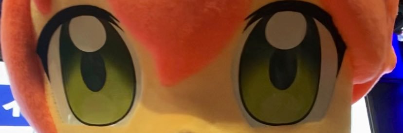 sphenid_hol's profile banner image