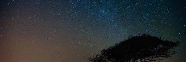 BychoT Profile Banner