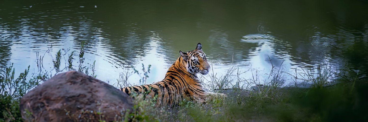LalitRajora5's profile banner image