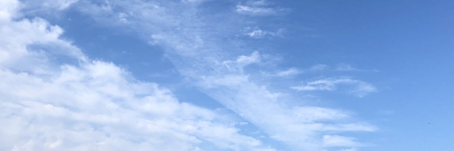 ebinosuke1015's profile banner image