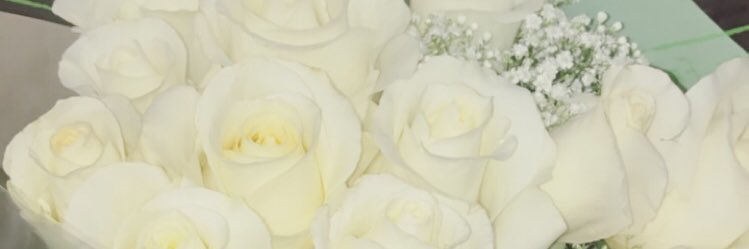 Darian_Chirillo's profile banner image