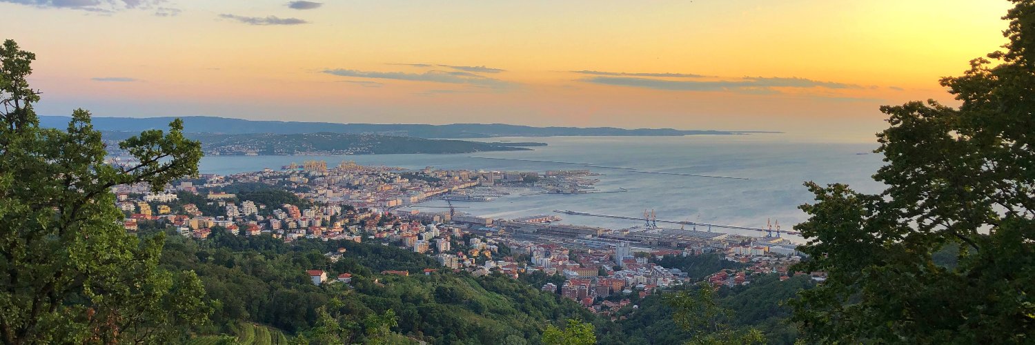 Giulio GMDB 🐢🌱 banner