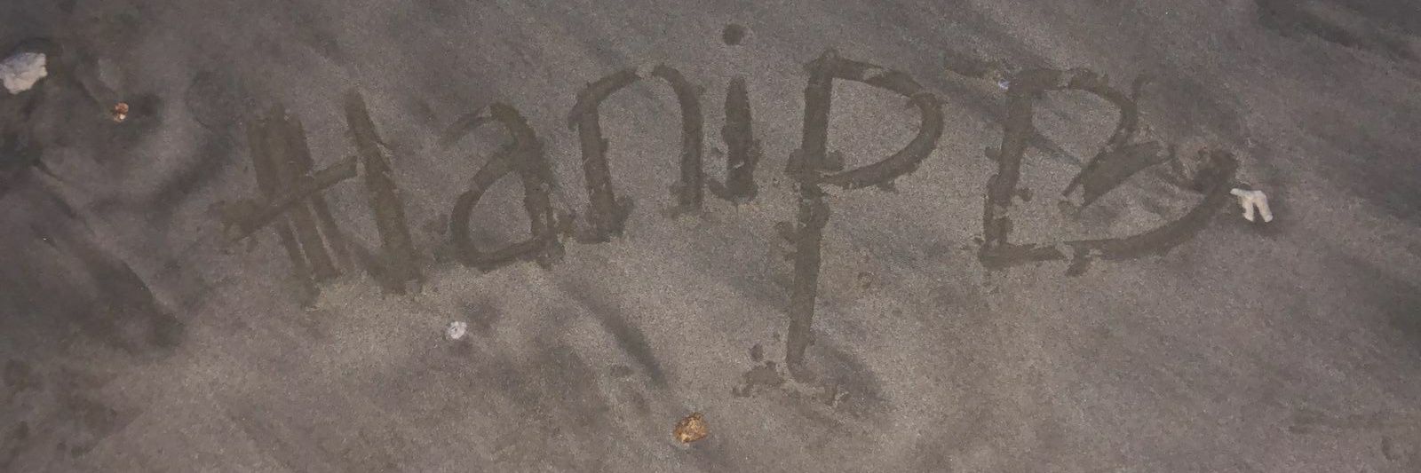 pinahanip's profile banner image