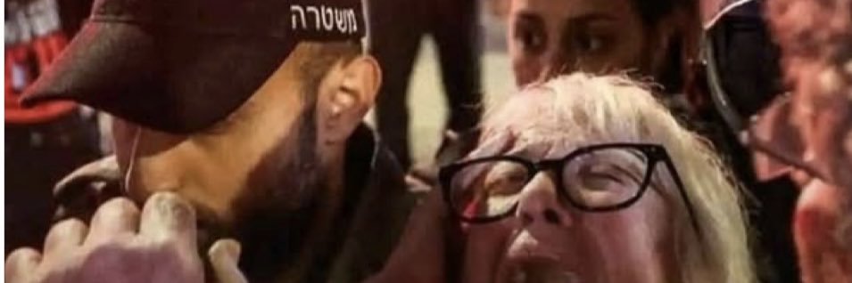 Josh Goldberg Lab 🇮🇱💔🎗️'s banner