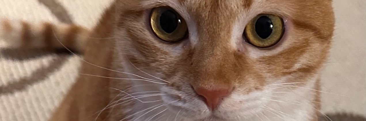 hpeyoon's profile banner image