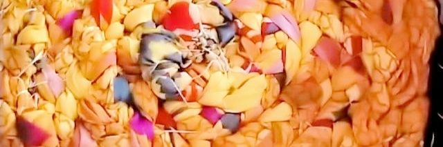keshari949's profile banner image