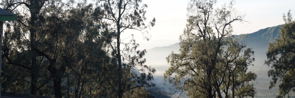 dhilawibi's profile banner image